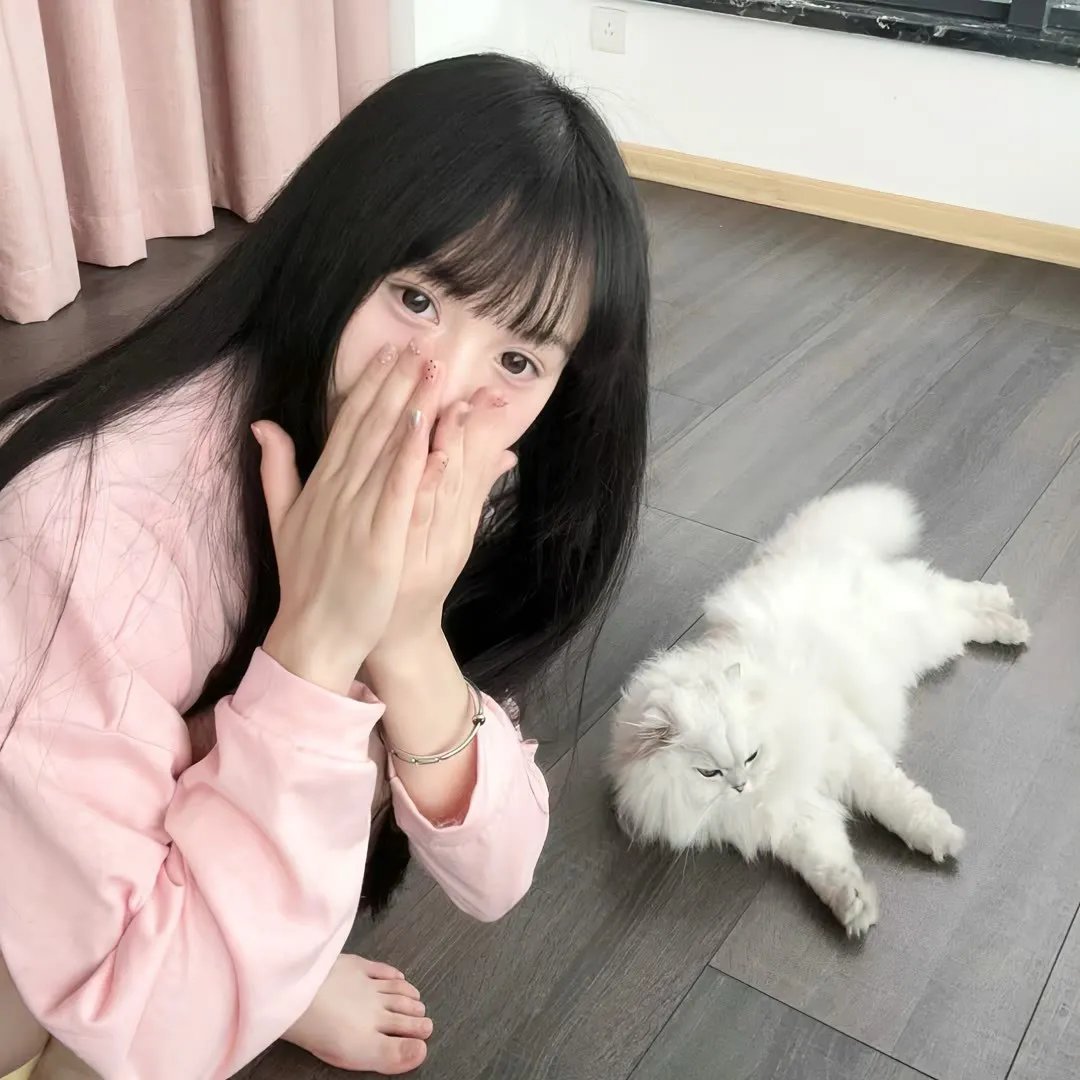 13号子弹