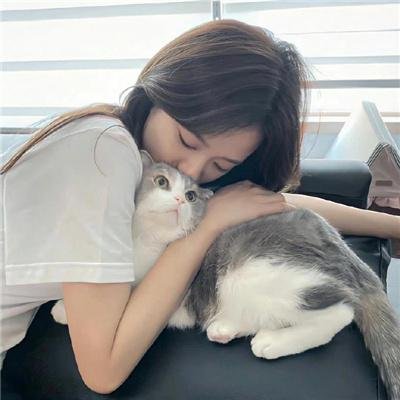 妖宴洛阳